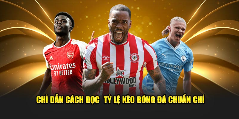 Chỉ dẫn cách đọc tỷ lệ kèo bóng đá chuẩn chỉ