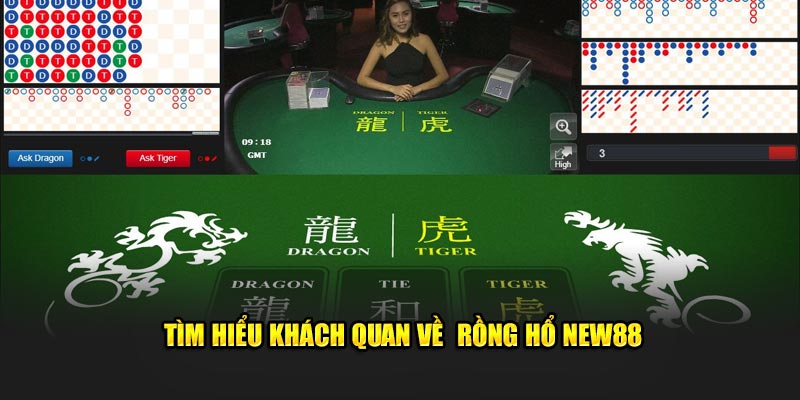 Tìm hiểu khách quan về Rồng Hổ New88